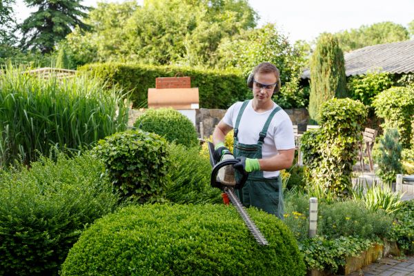 Shrubs Trimming in Madison